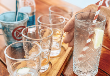 A Gin Lover’s Guide